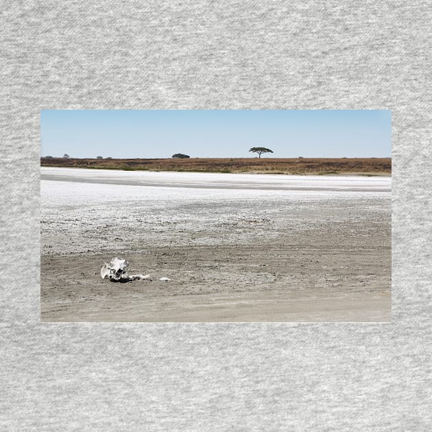 Death, & Dead Lake, Tanzania by Carole-Anne